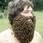 Соревнования на самую длинную пчелиную бороду.