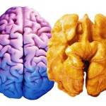 Питание для мозга или пища для ума.