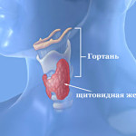 Заболевания щитовидной железы – лечение и профилактика. 